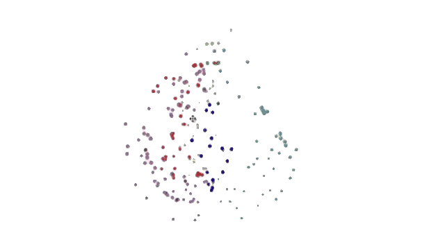 Zirkel Animation